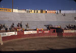 Bullfight Ring 2