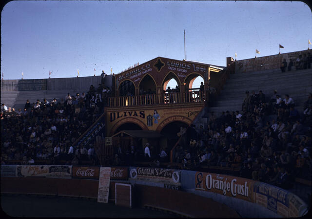 Bullfight Ring 3