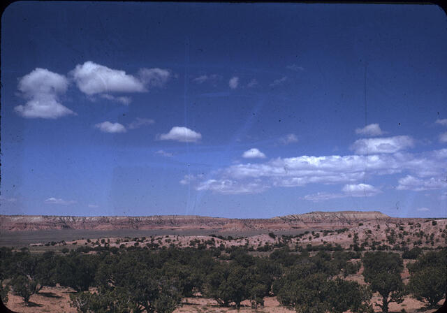 Genado Arizona1