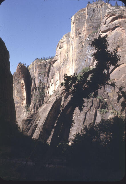 Zion National Park3