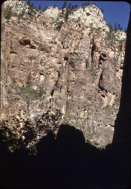 Zion National Park4