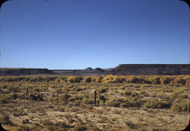 Algodones 01