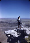 Petrified Forest 02