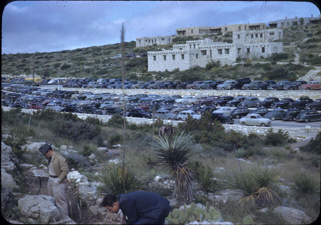 Carlsbad Caverns 01