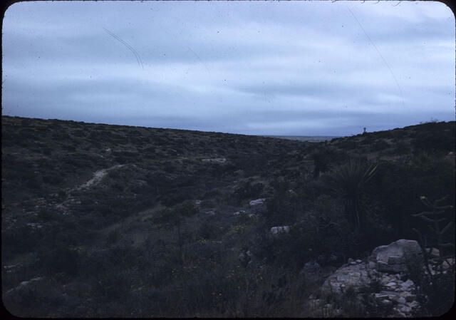 Carlsbad Caverns 03