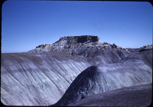 Petrified Forest 02