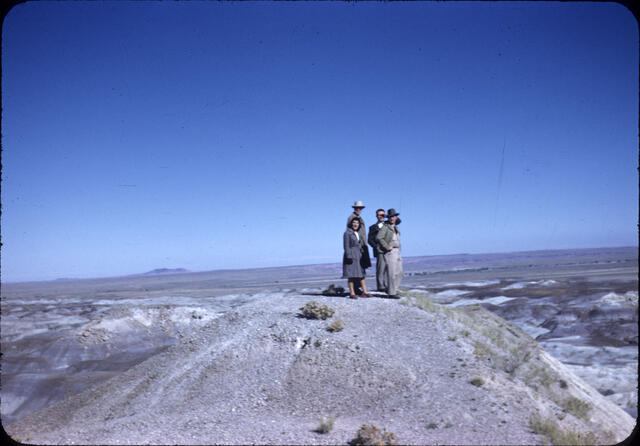 Petrified Forest 05