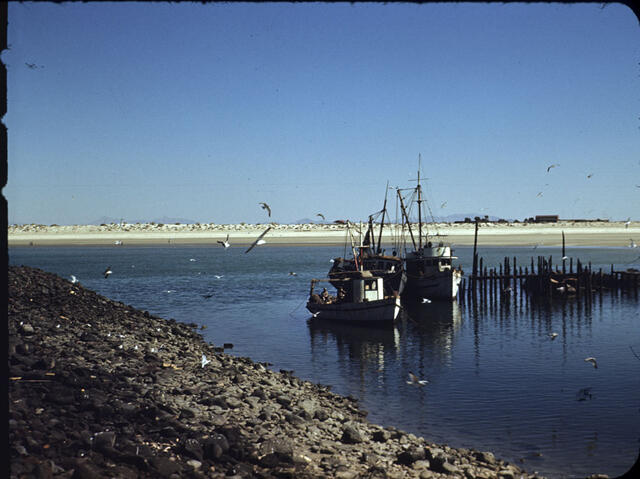 Punta Penasco 02