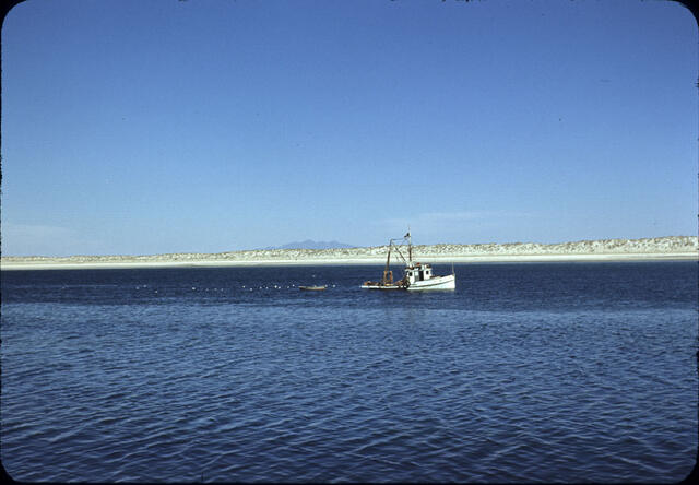 Punta Penasco 04