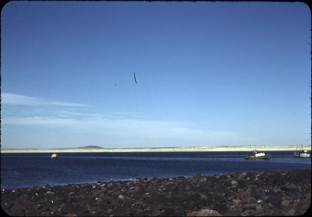 Punta Penasco 05