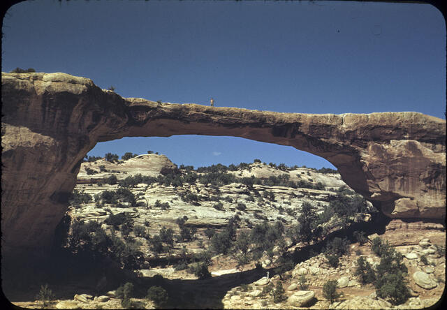 Natural Bridges National Monument 02