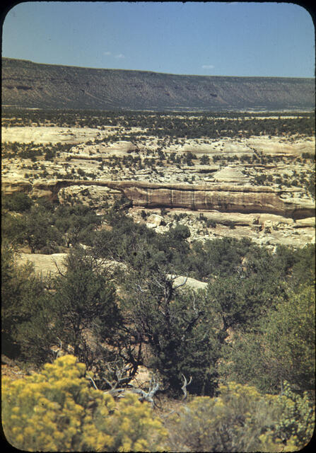 Natural Bridges National Monument 04