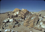 Roosevelt Dam, Petrified Forest, Salt River, and misc. slides.  Spring, 1949.