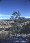 Canyon 2