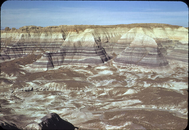 Petrified Forest 10