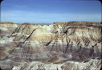 Petrified Forest 11