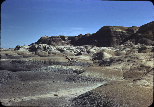 Petrified Forest 14