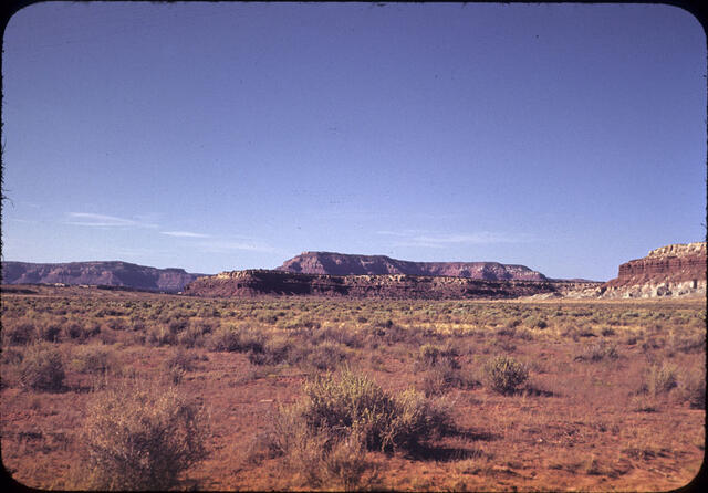 Fredonca AZ 01