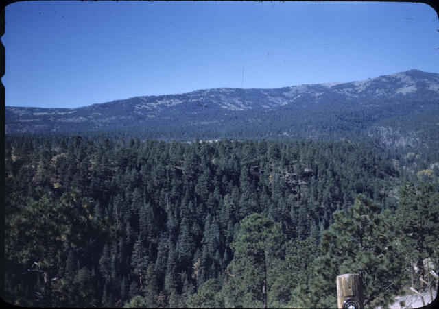 Los Alamos Canyon