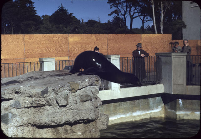 Golden Gate Park 03