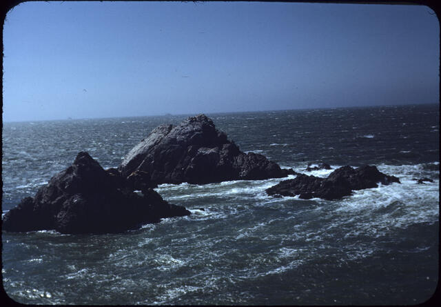 Seal Rocks 01