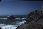 Seal Rocks 02