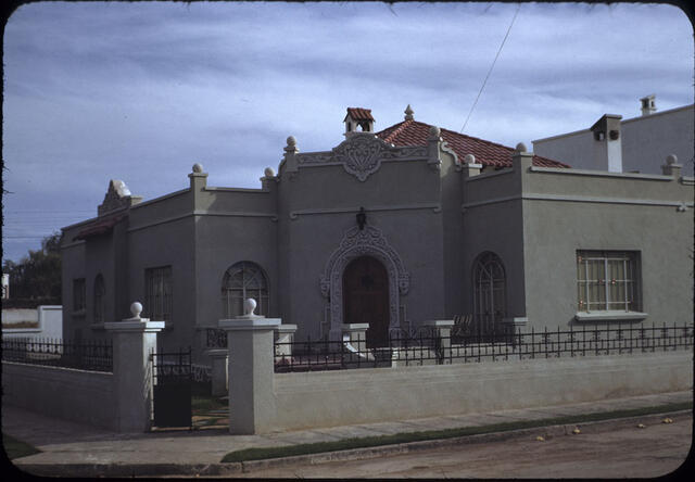 Chihuahua 05
