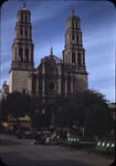 Chihuahua 07