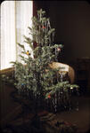 Christmas 1951 02