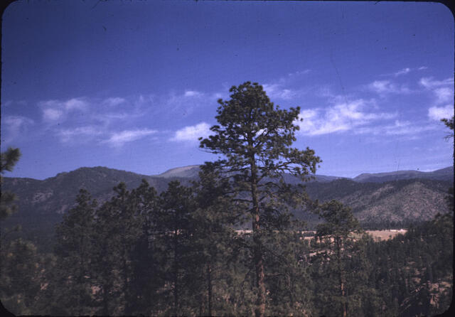 Los Alamos 1