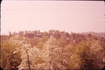 From House 01