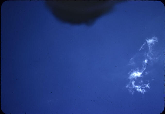 Accidental Exposure