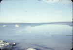 Yellowstone Lake 02