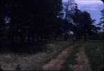 Stanley Farm 02