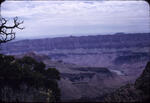 Grand Canyon 8