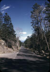 Los Alamos Canyon 1