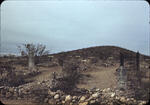 Boothill Cemetary 01