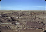 Petrified Forest 07