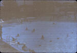 PV Swimming Pool 01